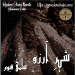 Sheher e Arzoo by Salma Qayyum Complete PDF