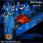 Mery qatil mery dildar by Salma Qayyum Complete