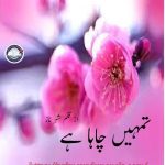 Tumhy chaha hai by Shehr e Naz Complete novel download pdf