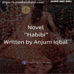 Habibi by Anjum Iqbal Complete novel download pdf