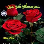 Umer matfi ki ain by Malik Writes Complete novel download pdf