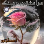 Mera ishq mere rab tak by Misbah Noor Complete novel download pdf