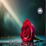 Mureed e ishq by Muqadas Zain Complete novel download pdf