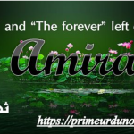 Amira (“The One” and “Forever” left out scenes) by Sapna Gul