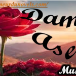 Damini Aseer novel by Muslim Girl Complete Novel