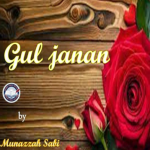 Gul janan novel by Munazzah Sabir Complete Novel