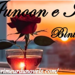 Junoon e Ishq novel by Bint e Israr