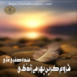 Shuroo kren phir se zindagi by Syeda Sughra Ghazi Complete novel download pdf