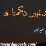 To chand tumhy dekhta hai novel by Ameer Hamza